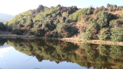 लाेभलाग्दाे मार्ग पोखरी, तर पुग्नै छाडे पर्यटक